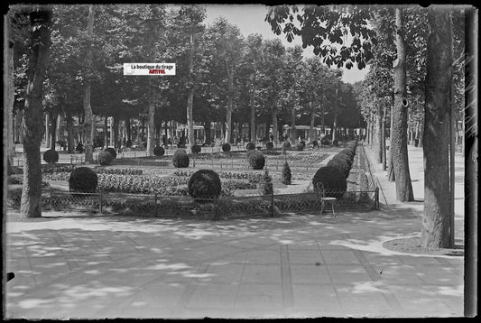 Vichy, parc public, Plaque verre photo ancienne, négatif noir & blanc 10x15 cm