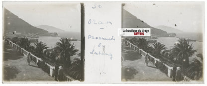 Promenade Létang, Oran, Plaque verre stéréo, positif noir & blanc 4,5x10,7 cm