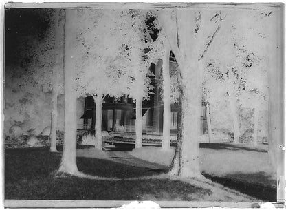 Plaque verre photo ancienne négatif noir et blanc 6x9 cm parc château arbres