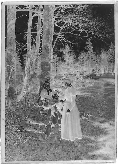 Bailly, France, château, photos plaque de verre, lot de 10 négatifs 6x9 cm