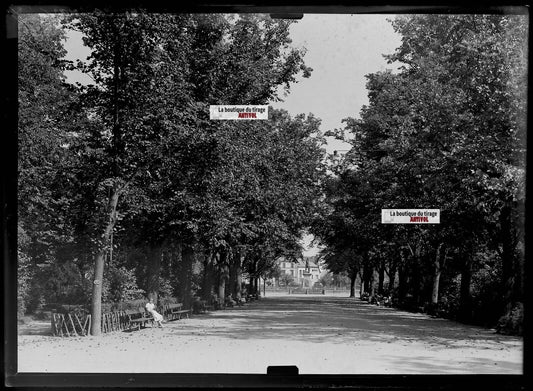 Plaque verre photo ancienne négatif noir et blanc 13x18 cm Colmar jardin public