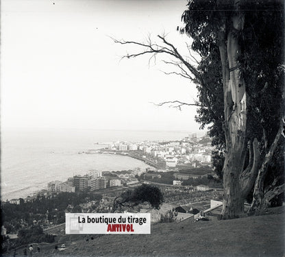 Algérie, Alger mer, plaque verre, photo stéréo, négatif N&B 6x13 cm