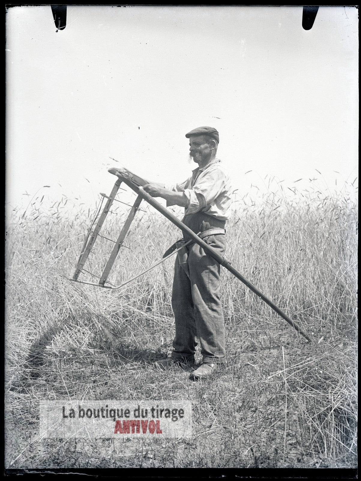 Moisson traditionnelle, campagne, plaque verre, photo ancienne, négatif 9x12 cm