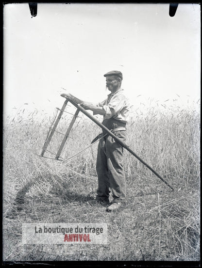 Moisson traditionnelle, campagne, plaque verre, photo ancienne, négatif 9x12 cm