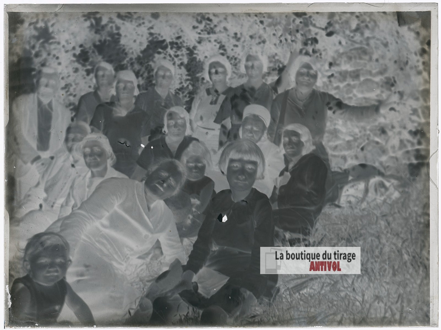 Portrait de famille en plein air, plaque verre photo ancienne, négatif 9x12 cm