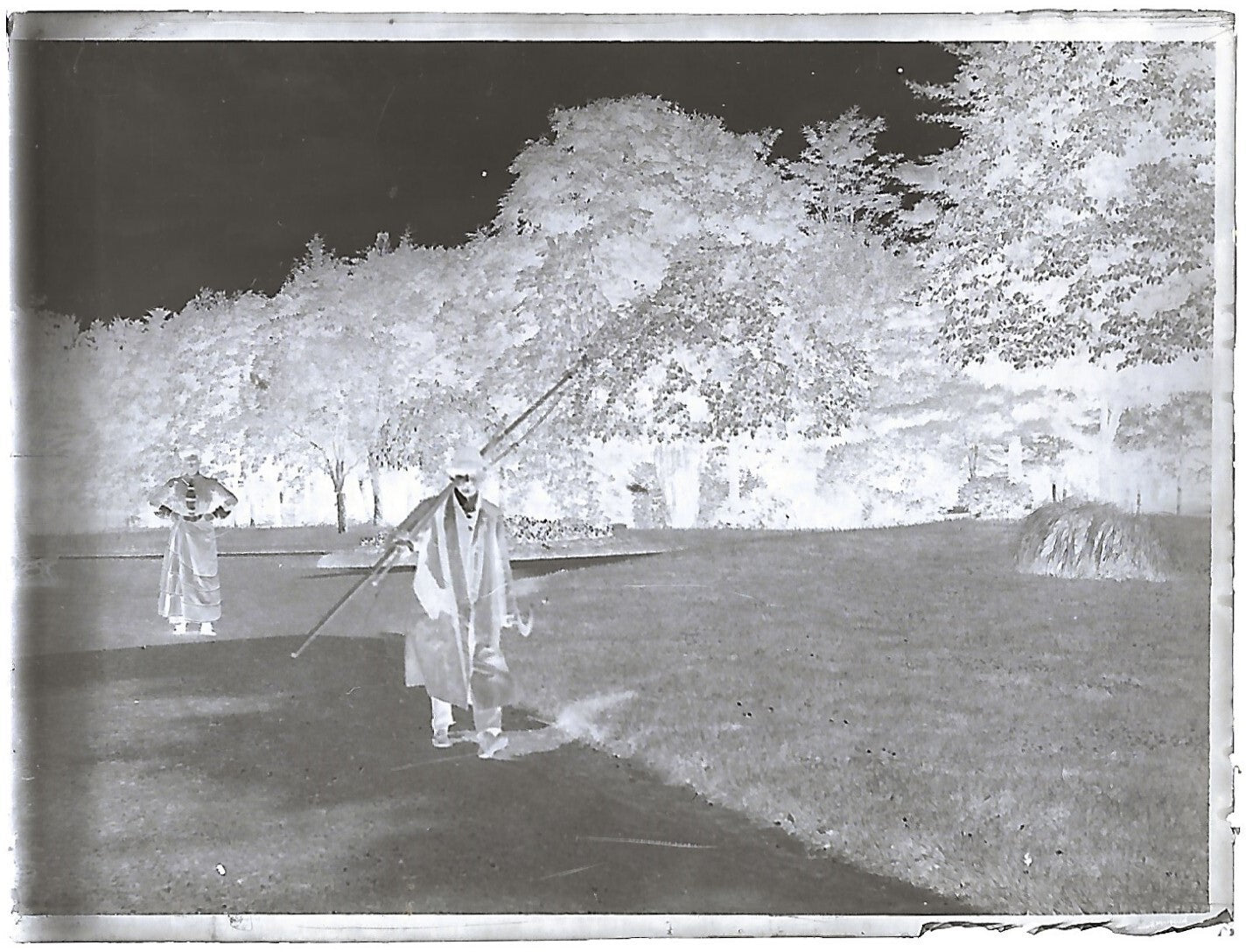 France Bailly, Renard, poulain, photos plaque de verre, lot de 9 négatifs 4x6 cm