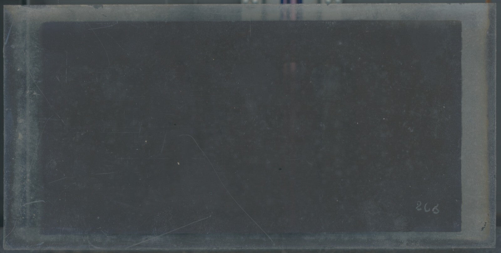 Scène de vie, Longchamp, Paris, plaque verre stéréoscopique, positif 8,5x17 cm