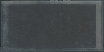 Scène de vie, Longchamp, Paris, plaque verre stéréoscopique, positif 8,5x17 cm