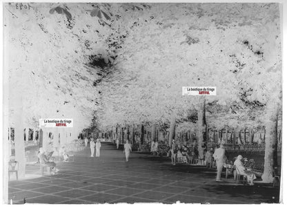 Plaque verre photo ancienne négatif noir et blanc 13x18 cm Vichy parc public