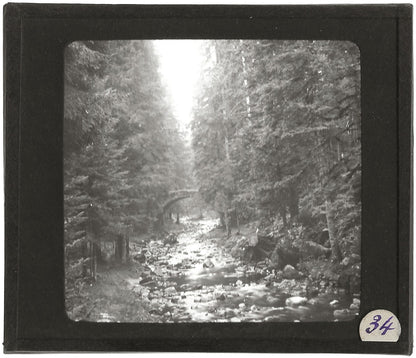 Pont des Fées, Gérardmer, Vosges, photo plaque de verre, positif 8,5x10 cm
