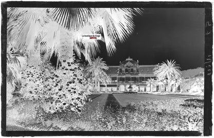 Plaque verre photo négatif noir et blanc 9x14 cm Nice, jardin Albert 1er, casino
