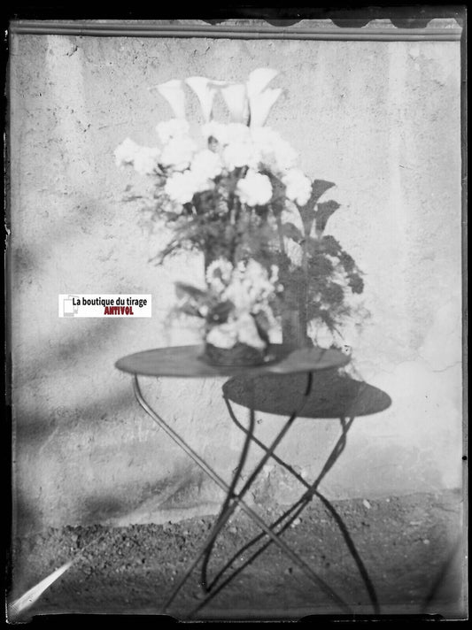 Bouquet fleurs, Plaque verre photo ancienne, négatif noir & blanc 9x12 cm