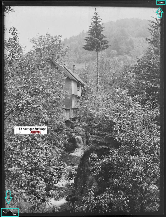 Maison, Alsace, nature, Plaque verre photo, négatif ancien noir & blanc 9x12 cm