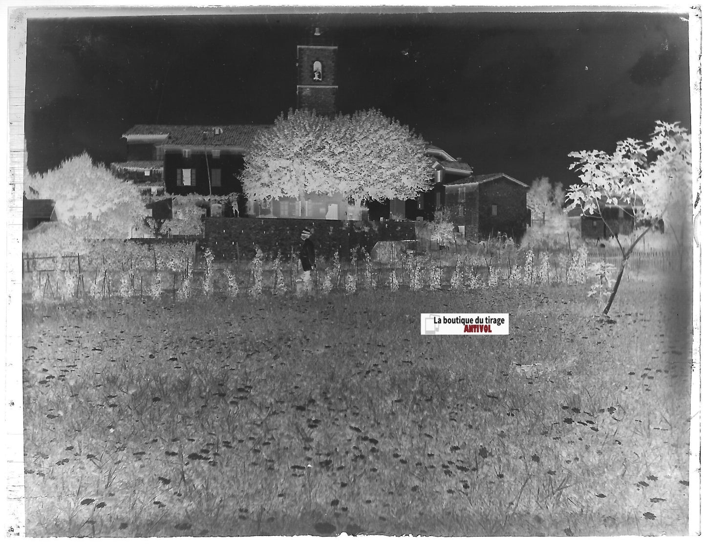 A situer Provence, Plaque verre photo ancienne, négatif noir & blanc 9x12 cm
