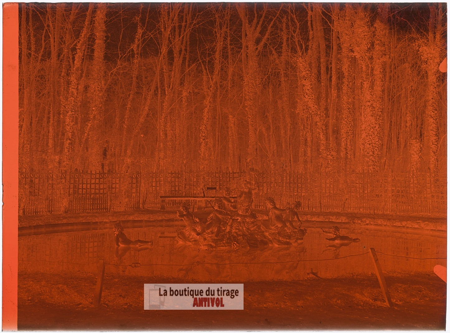 Bassin des Enfants Dorés, plaque verre, photo ancienne, négatif 9x12 cm