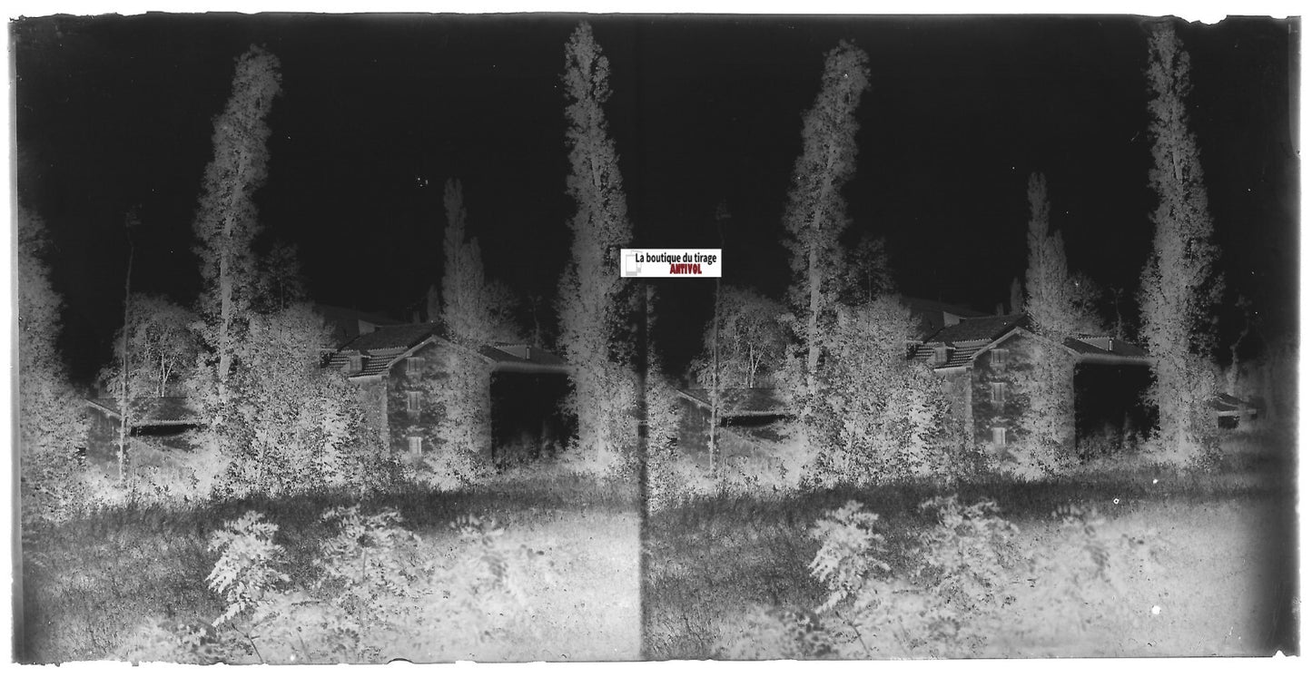 Maison, arbres, Plaque verre photo ancienne, stéréo négatif noir & blanc 9x18 cm