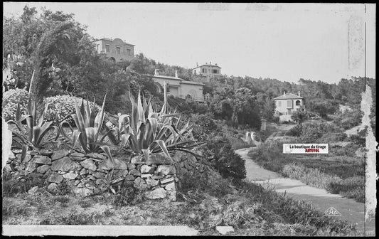 Plaque verre photo ancienne négatif noir & blanc 9x14 cm, Sainte-Maxime, Var