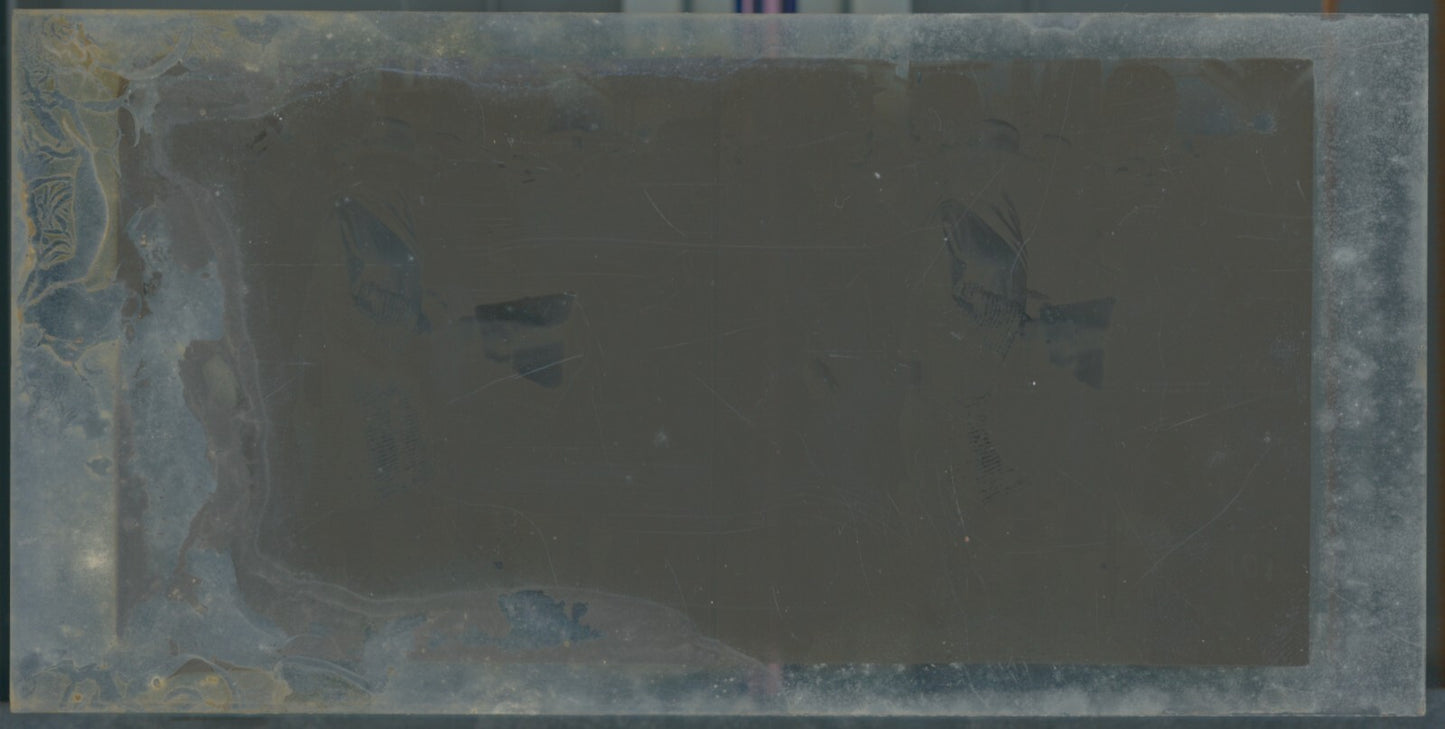 Scène de vie, Longchamp, Paris, plaque verre stéréoscopique, positif 8,5x17 cm