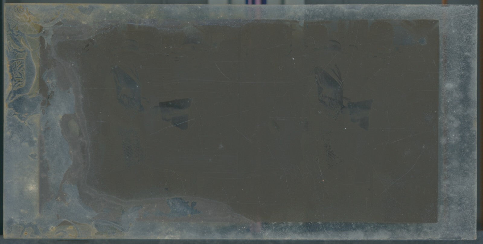 Scène de vie, Longchamp, Paris, plaque verre stéréoscopique, positif 8,5x17 cm