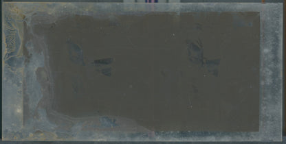 Scène de vie, Longchamp, Paris, plaque verre stéréoscopique, positif 8,5x17 cm