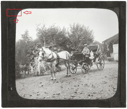Vertou, cheval calèche, chien, photo ancienne plaque de verre, positif 8,5x10 cm