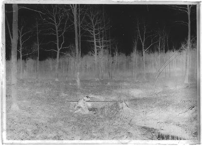 Plaque verre photo ancienne négatif noir et blanc 6x9 cm femme robe forêt France