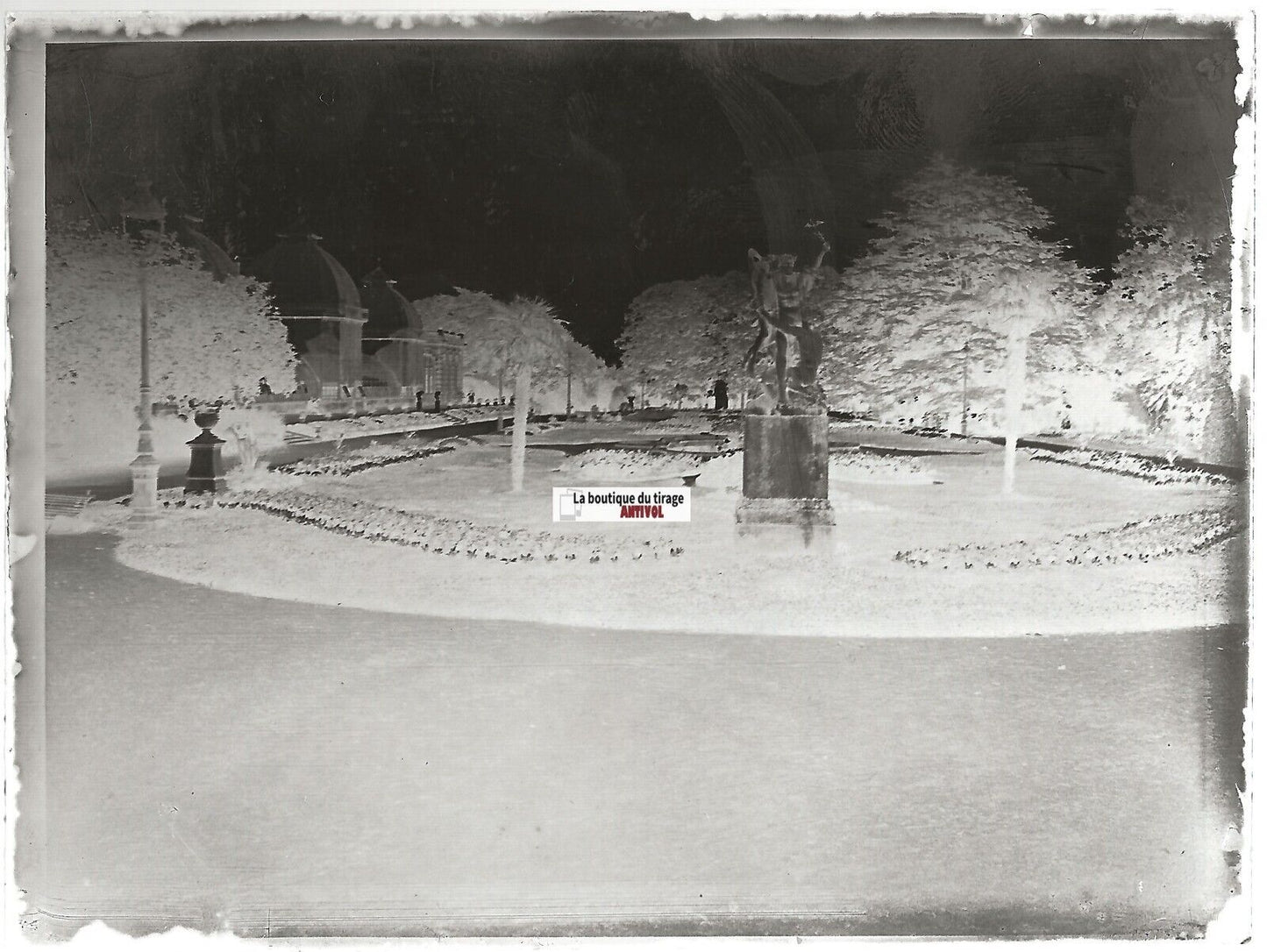 Rennes, Jardin des Plantes, Plaque verre photo, négatif noir & blanc 9x12 cm