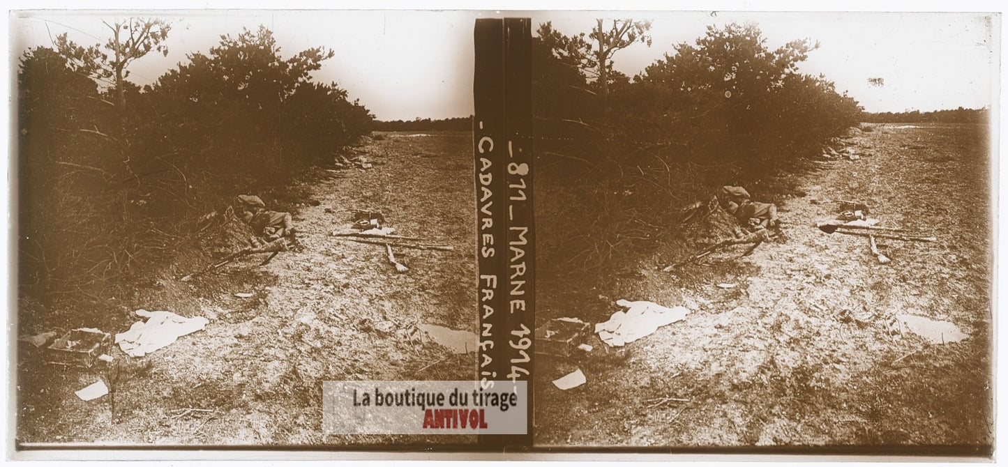 Marne, 1914, cadavres français, WW1, plaque verre photo ancienne stéréo 6x13 cm