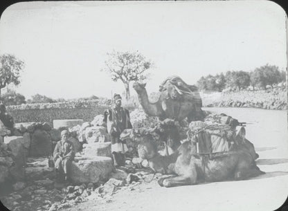 Puits des Mages, Palestine, photo ancienne plaque de verre, positif 8,5x10 cm