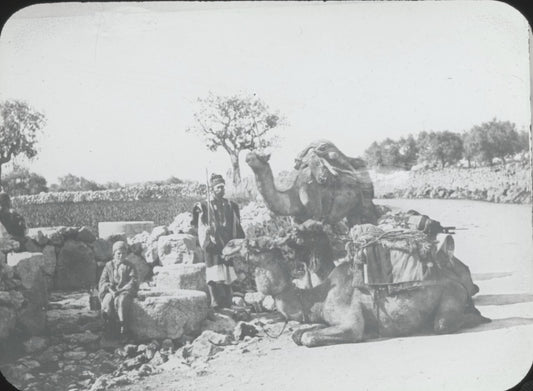 Puits des Mages, Palestine, photo ancienne plaque de verre, positif 8,5x10 cm