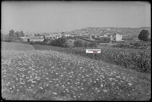 Bidart, paysage, Plaque verre photo ancienne, négatif noir & blanc 10x15 cm