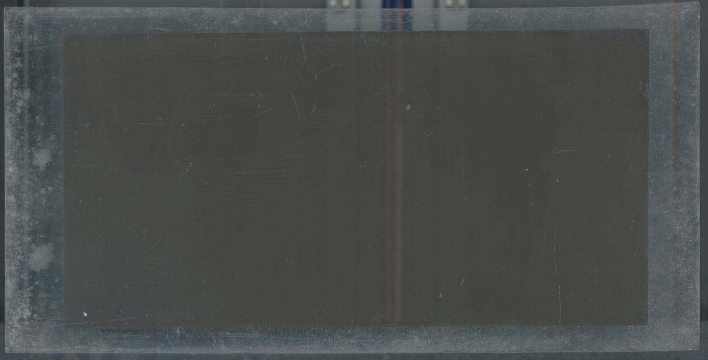 Personnages, Longchamp, Paris, plaque verre stéréoscopique, positif 8,5x17 cm