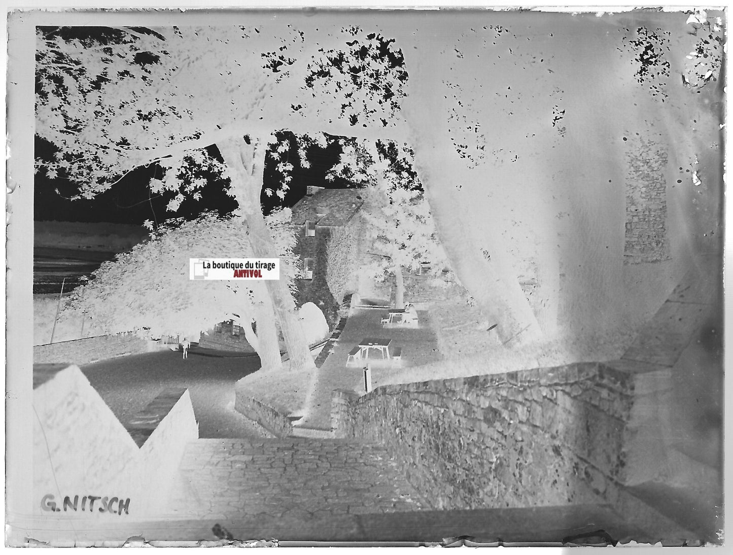 Jersey, Guernesey, Nitsch, Plaque verre photo, négatif noir & blanc 9x12 cm