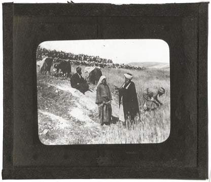 Champ de Booz, histoire, photo ancienne plaque de verre, positif 8,5x10 cm