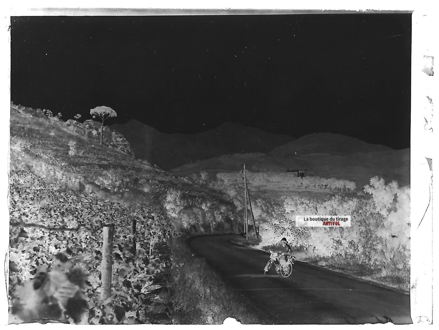 Bugard, Vélo Collioure, Pyrénées, photos plaque verre, lot de 10 négatifs 6x9 cm