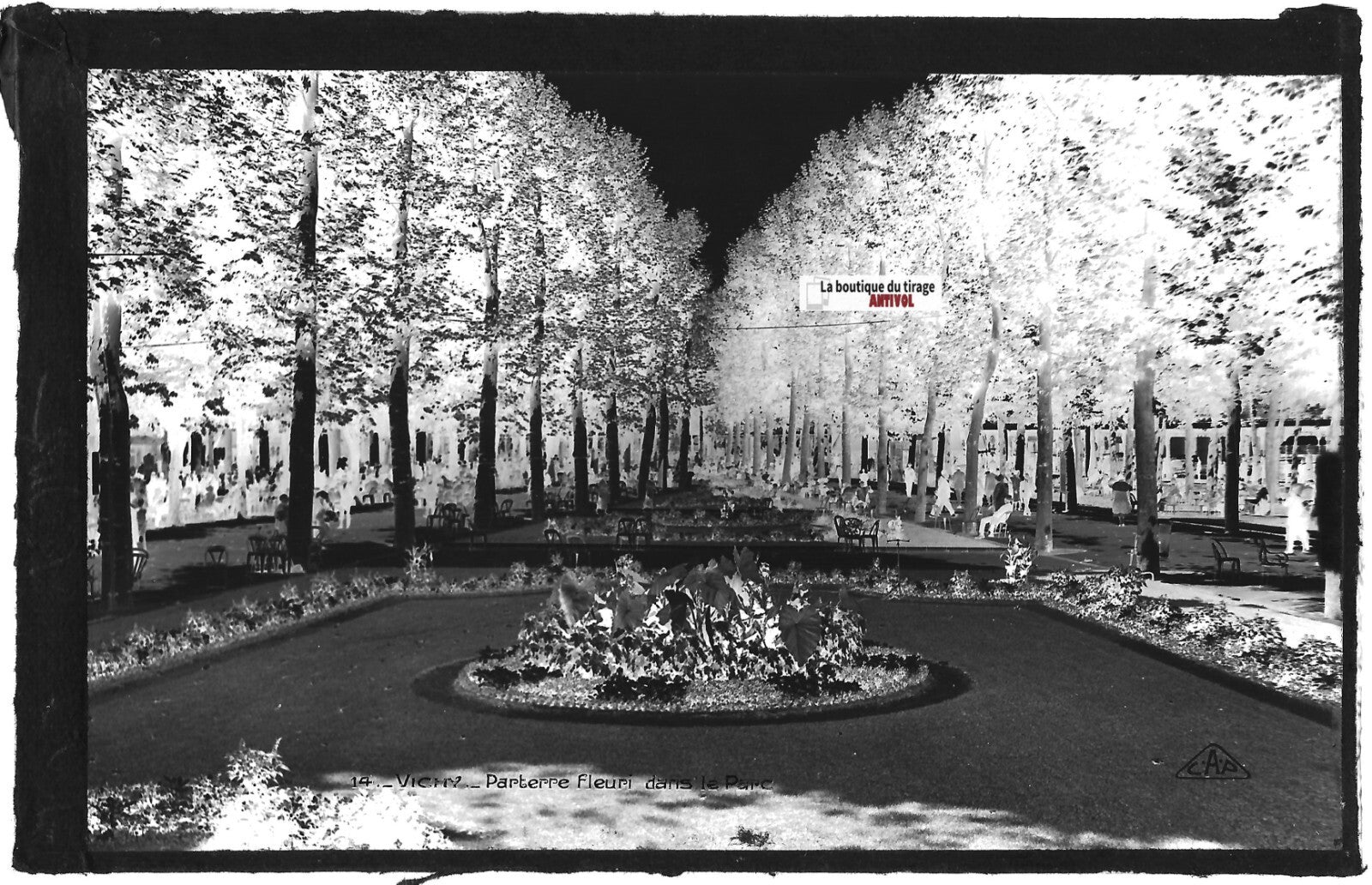 Plaque verre ancienne photo négatif noir & blanc 9x14 cm, Vichy, jardin public