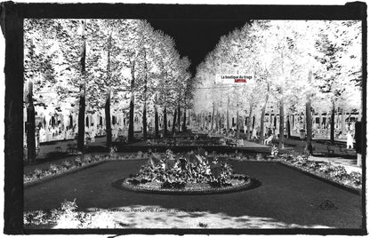 Plaque verre ancienne photo négatif noir & blanc 9x14 cm, Vichy, jardin public