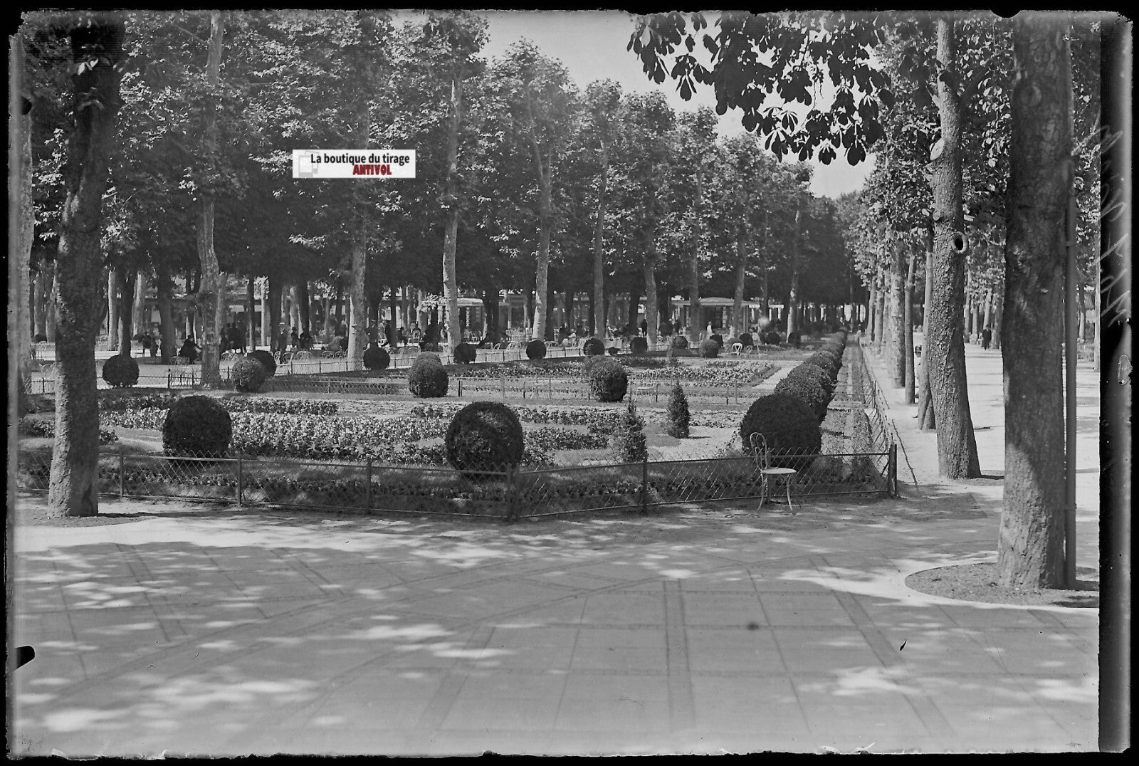 Vichy, parc public, Plaque verre photo ancienne, négatif noir & blanc 10x15 cm