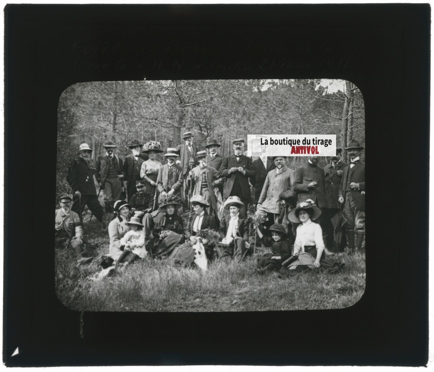 Forêt de Dom, 1911, groupe, photo ancienne plaque de verre, positif 8,5x10 cm