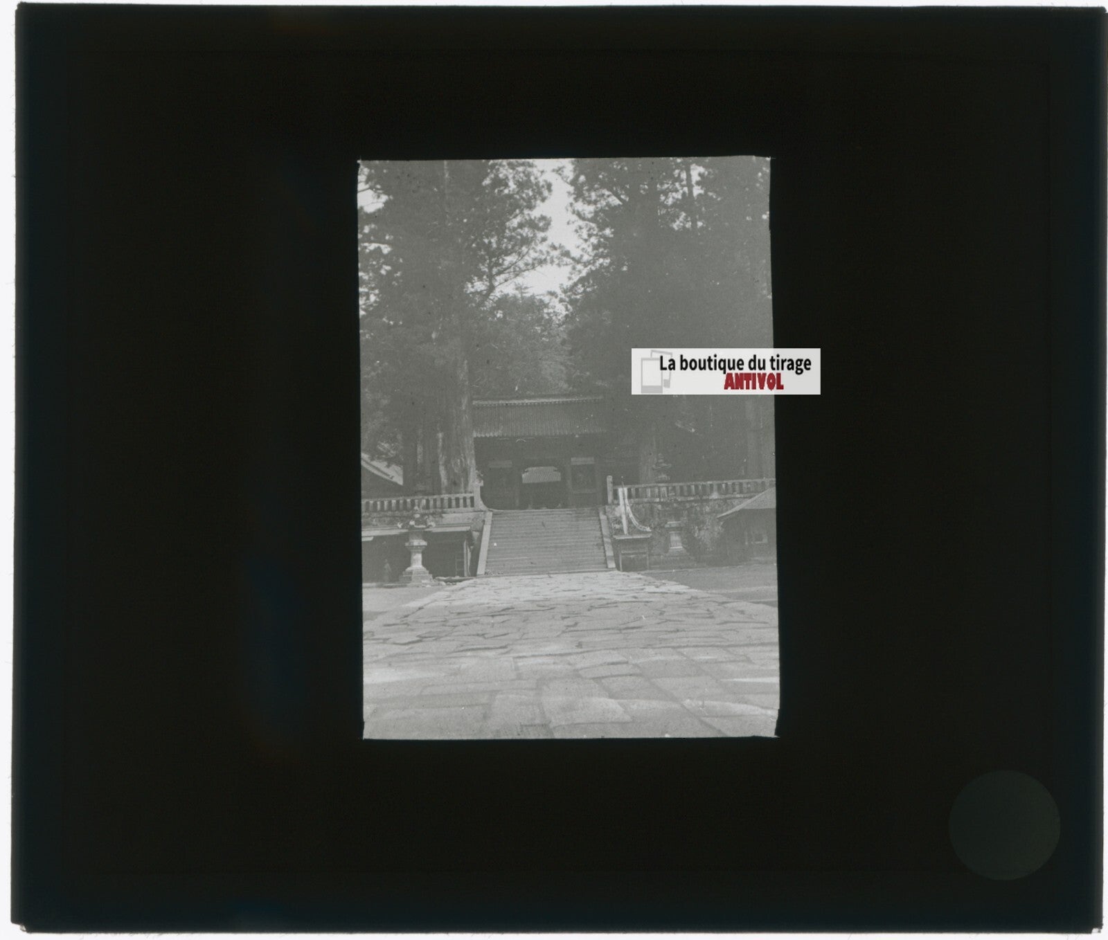 Temples de Nikkō, Japon, photo plaque verre, noir & blanc, positif 8,5x10 cm