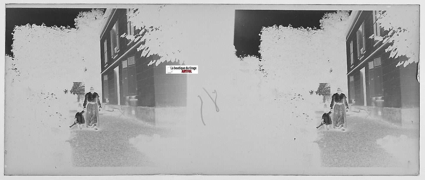 Famille, maison, Plaque verre photo stéréo, négatif noir & blanc 4,5x10,7 cm