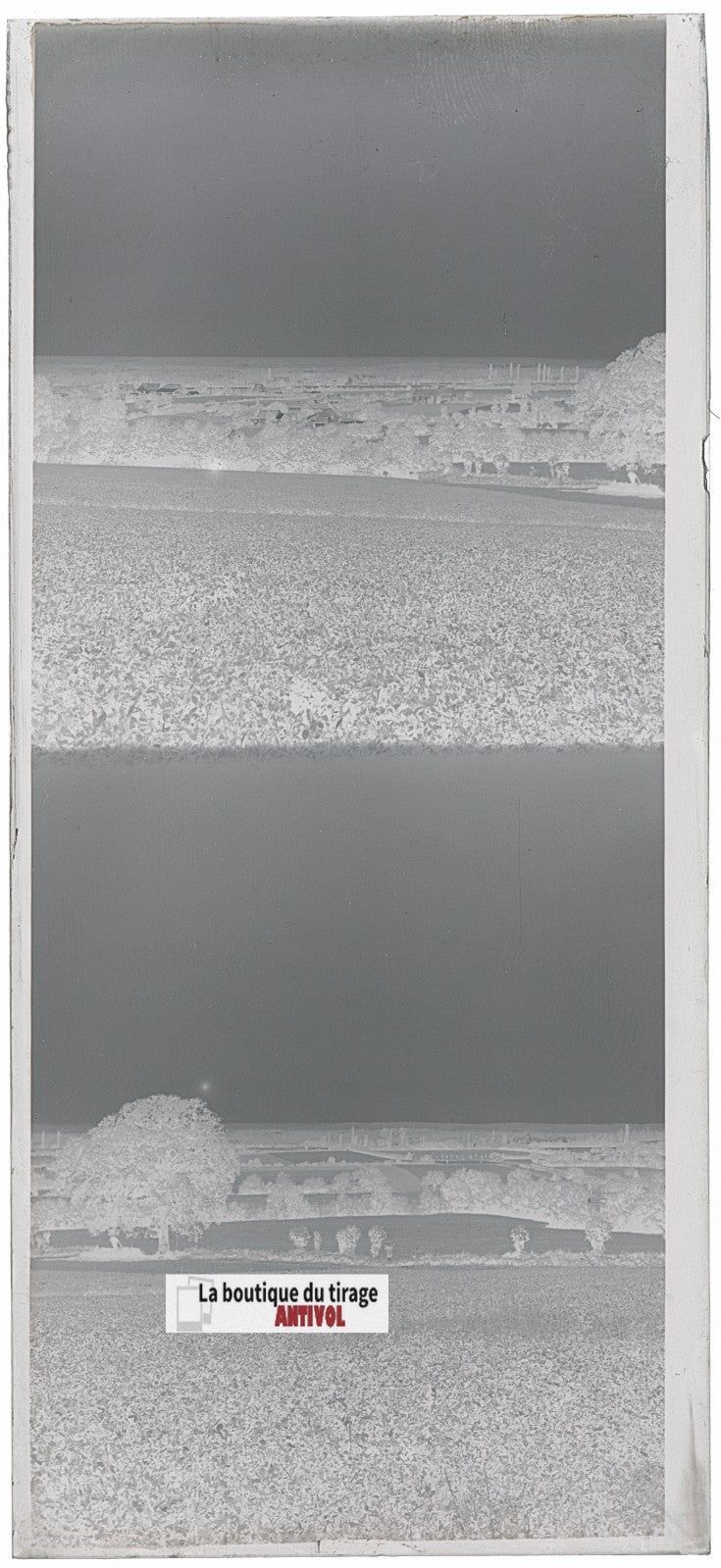 Champs, paysage France, plaque verre, photo ancienne, négatif N&B 6x13 cm