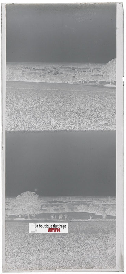 Champs, paysage France, plaque verre, photo ancienne, négatif N&B 6x13 cm