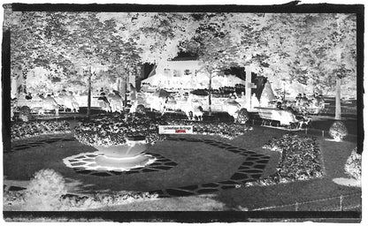 Vittel, jardin parc, Vosges, Plaque verre photo, négatif noir & blanc 6x11 cm