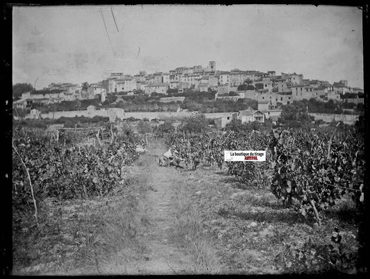 Biot, Provence, Plaque verre photo ancienne, négatif noir & blanc 9x12 cm