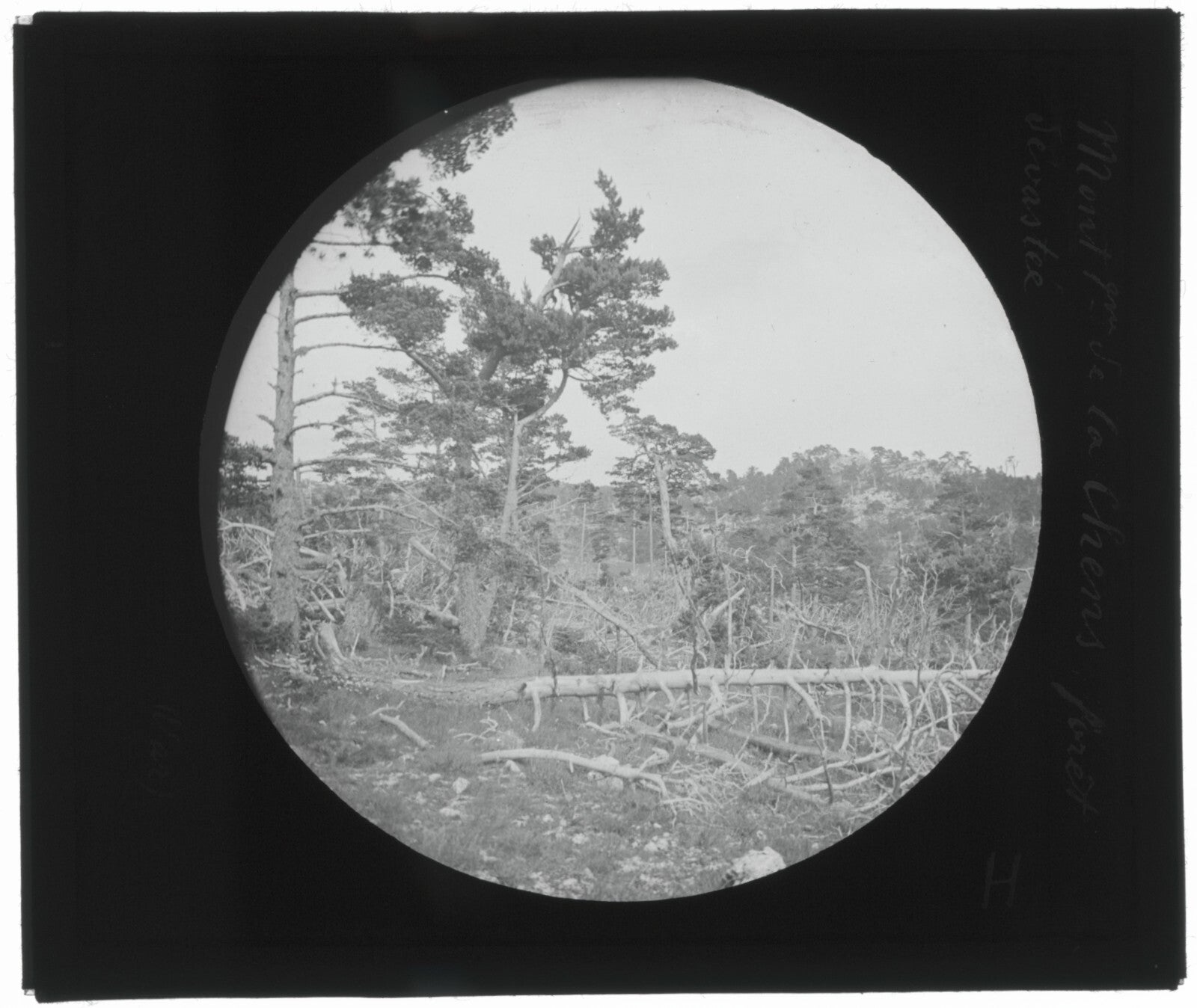Montagne de Lachens, Var, photo ancienne plaque de verre, positif 8,5x10 cm