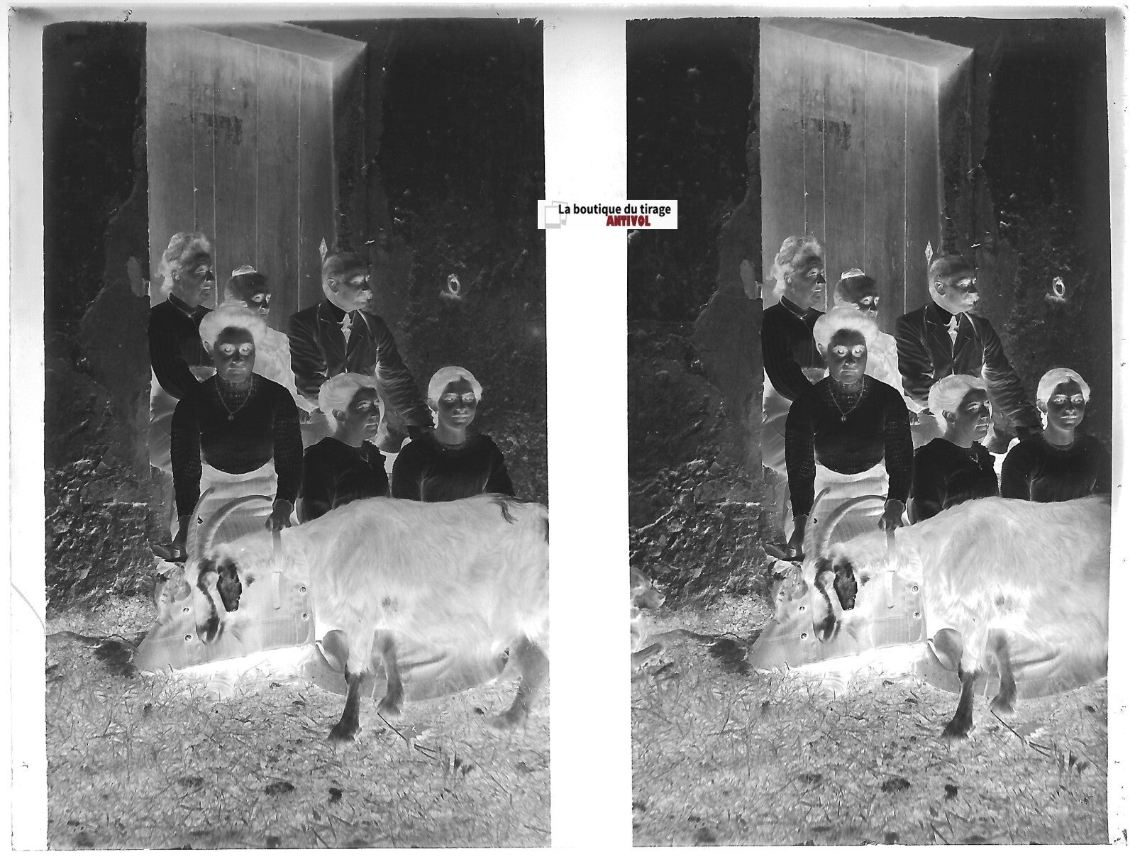 Famille, ferme, Plaque verre photo ancienne, négatif noir & blanc 9x12 cm