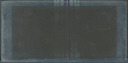 Scène de vie, Longchamp, Paris, plaque verre stéréoscopique, positif 8,5x17 cm