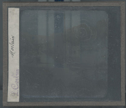 Port de Dinan, Bretagne, photo plaque verre, noir & blanc, positif 8,5x10 cm