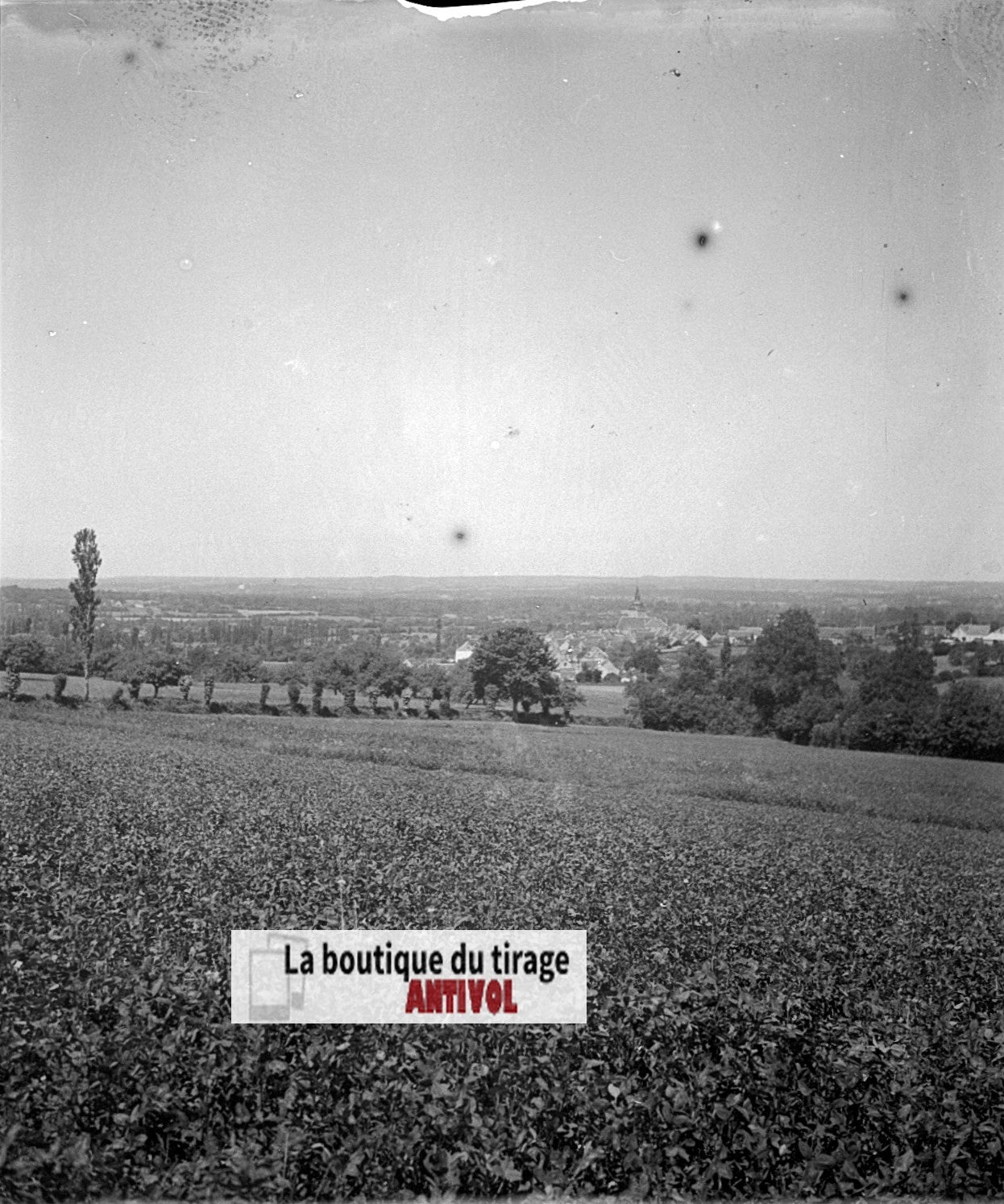 Champs, paysage France, plaque verre, photo ancienne, négatif N&B 6x13 cm